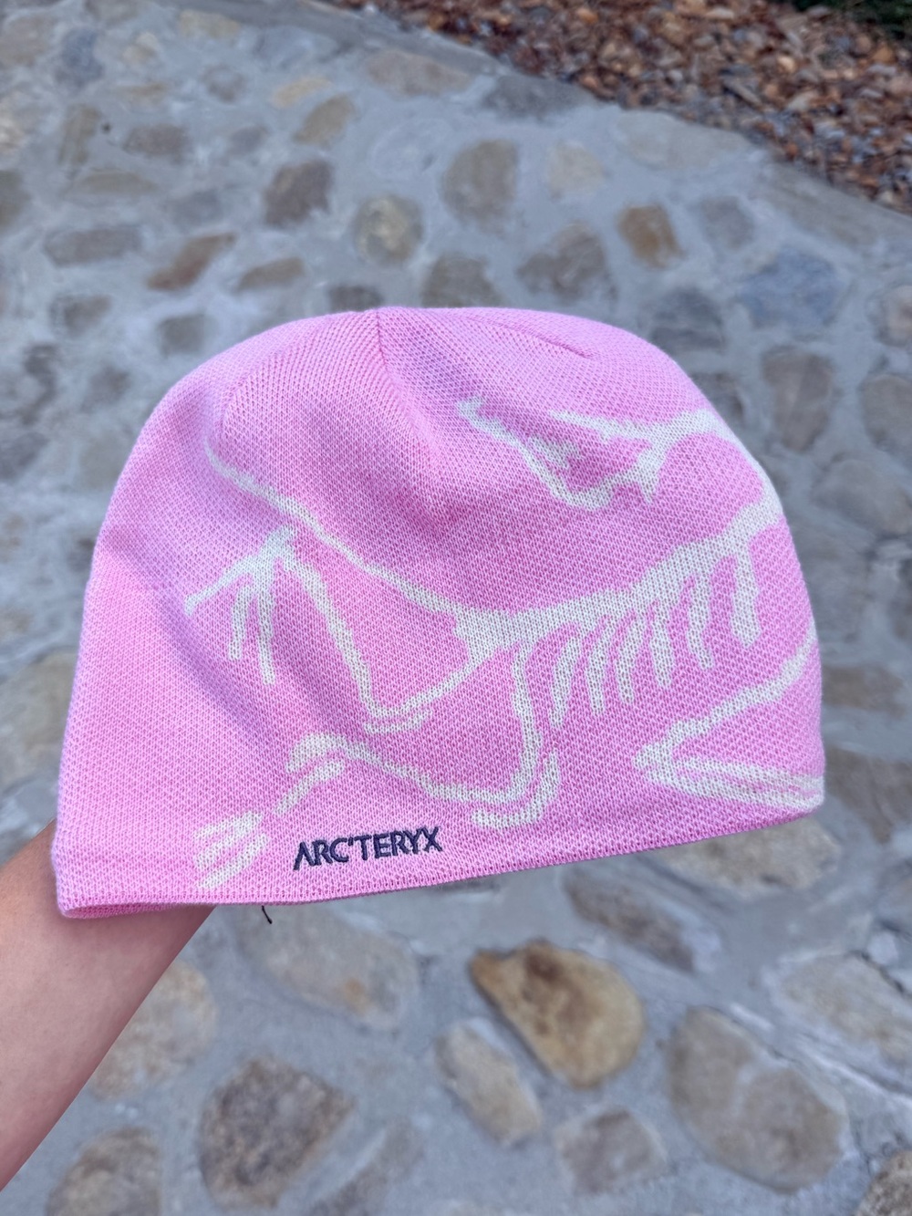 Arcteryx Bird Head Toque